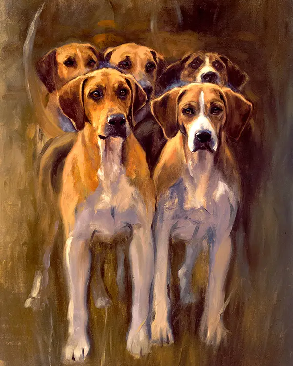 hound portraits